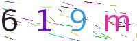 Verify Code