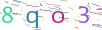 Verify Code