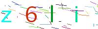 Verify Code