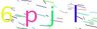 Verify Code