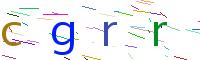 Verify Code