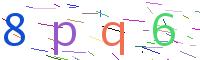 Verify Code