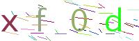 Verify Code