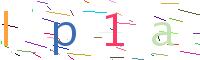 Verify Code