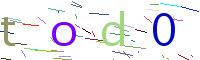 Verify Code