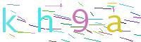 Verify Code